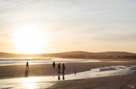 172 Condor Court Bodega Bay CA 94923