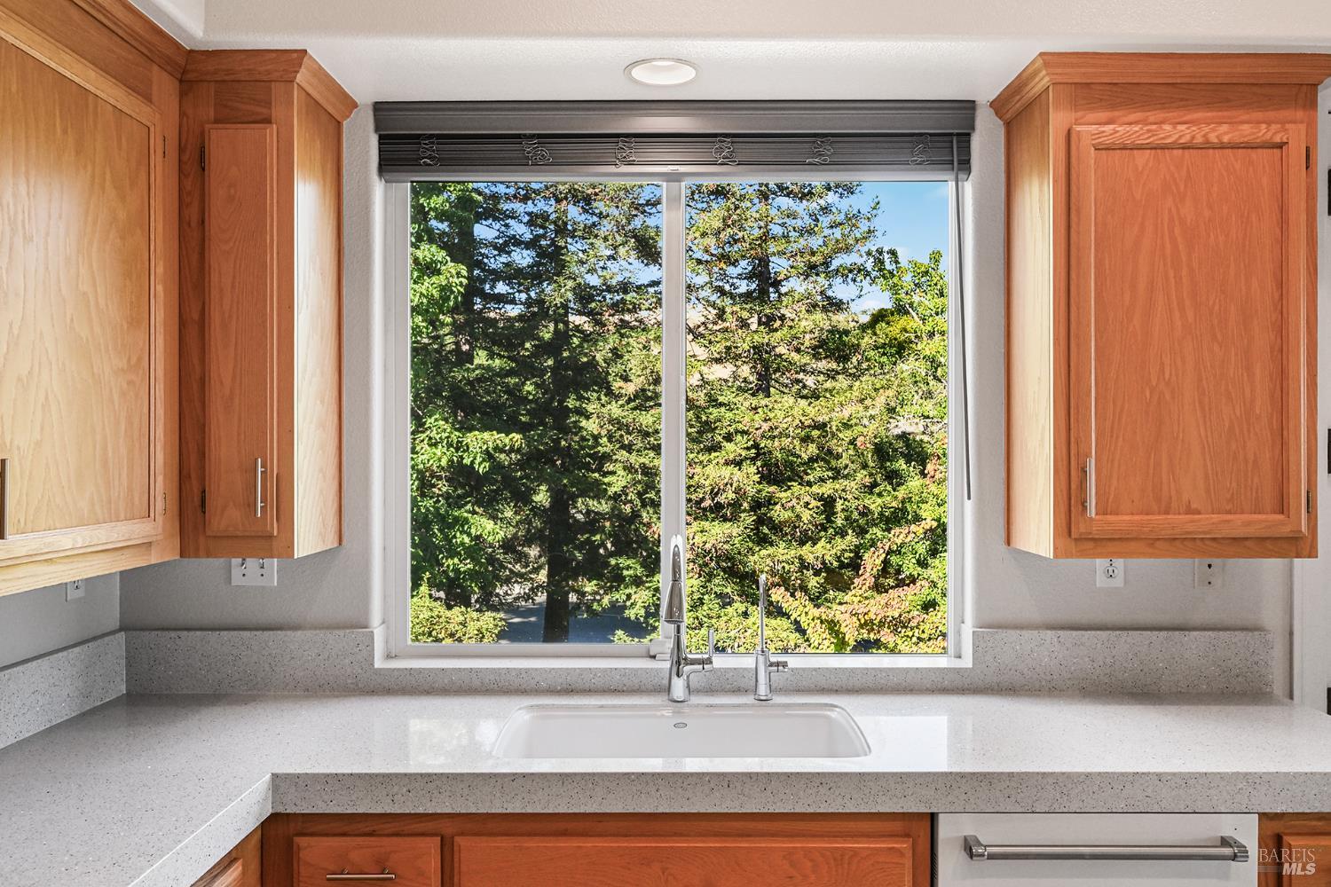 1972 Fountainview Circle Santa Rosa CA 95403