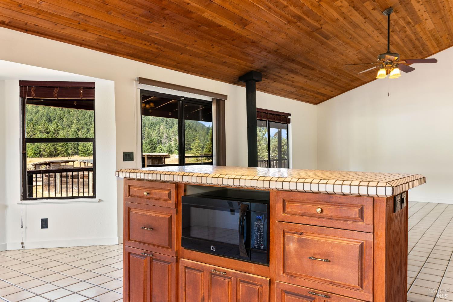 9679 Salmina Road Kelseyville CA 95451