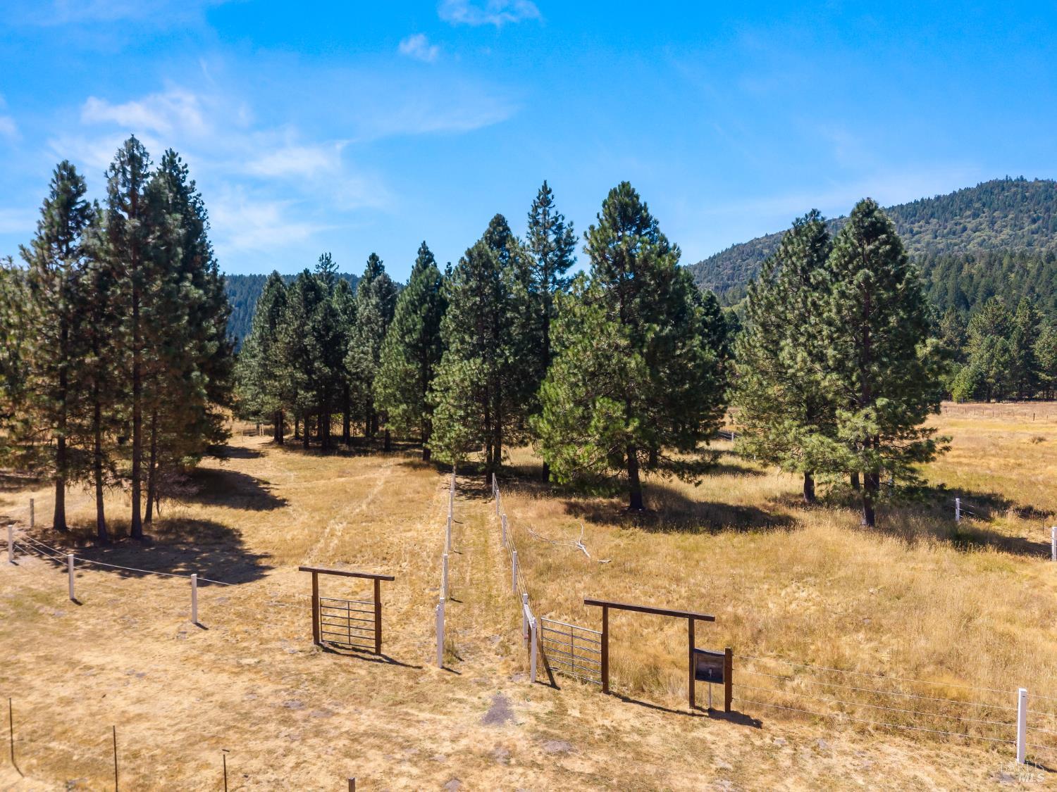 9679 Salmina Road Kelseyville CA 95451