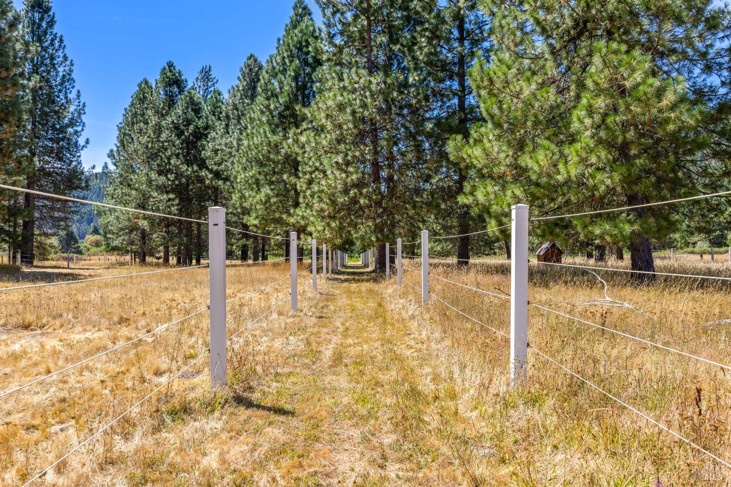 9679 Salmina Road Kelseyville CA 95451
