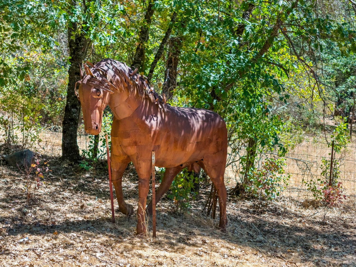 9679 Salmina Road Kelseyville CA 95451