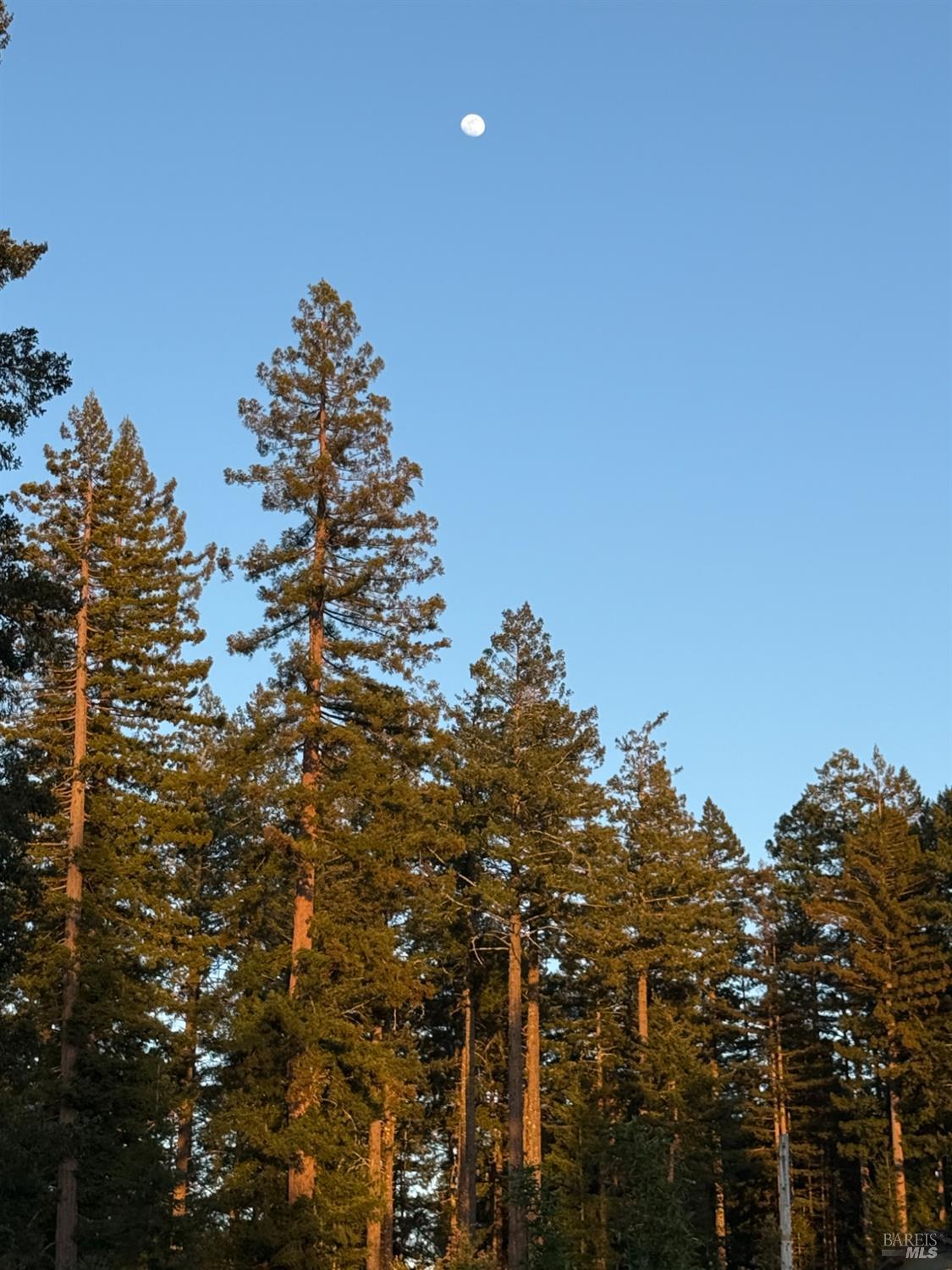 28800 Seaview Road Cazadero CA 95421
