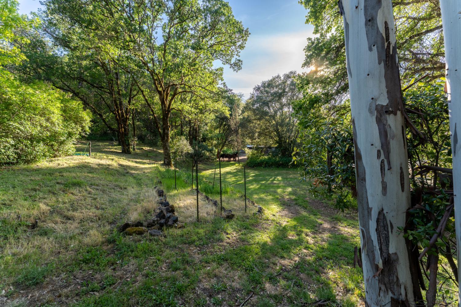 1701 Road B Redwood Valley CA 95470