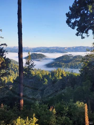 18000 Willow Creek Road Occidental CA 95465