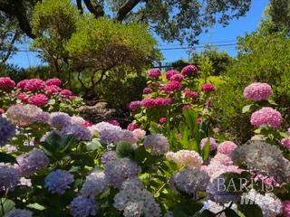 160 Crest Road Novato CA 94945