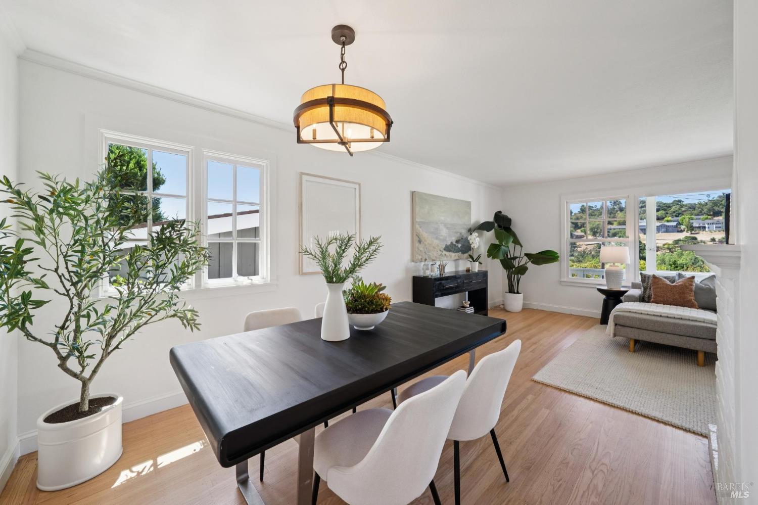 170 Alpine Street San Rafael CA 94901