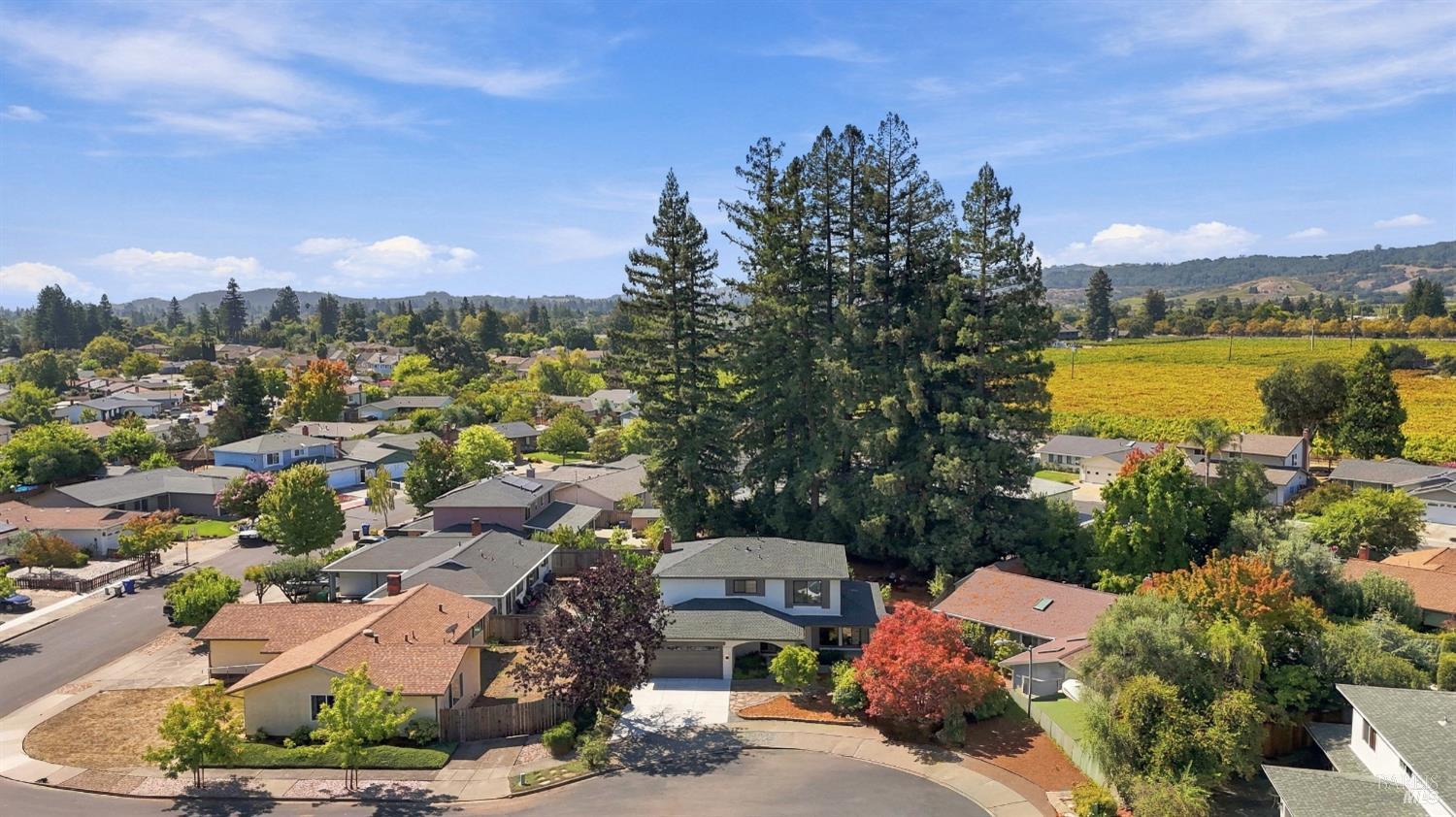 1552 Parkwood Court Napa CA 94558