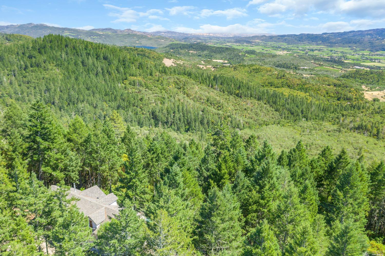 440 Cold Springs Road Angwin CA 94508