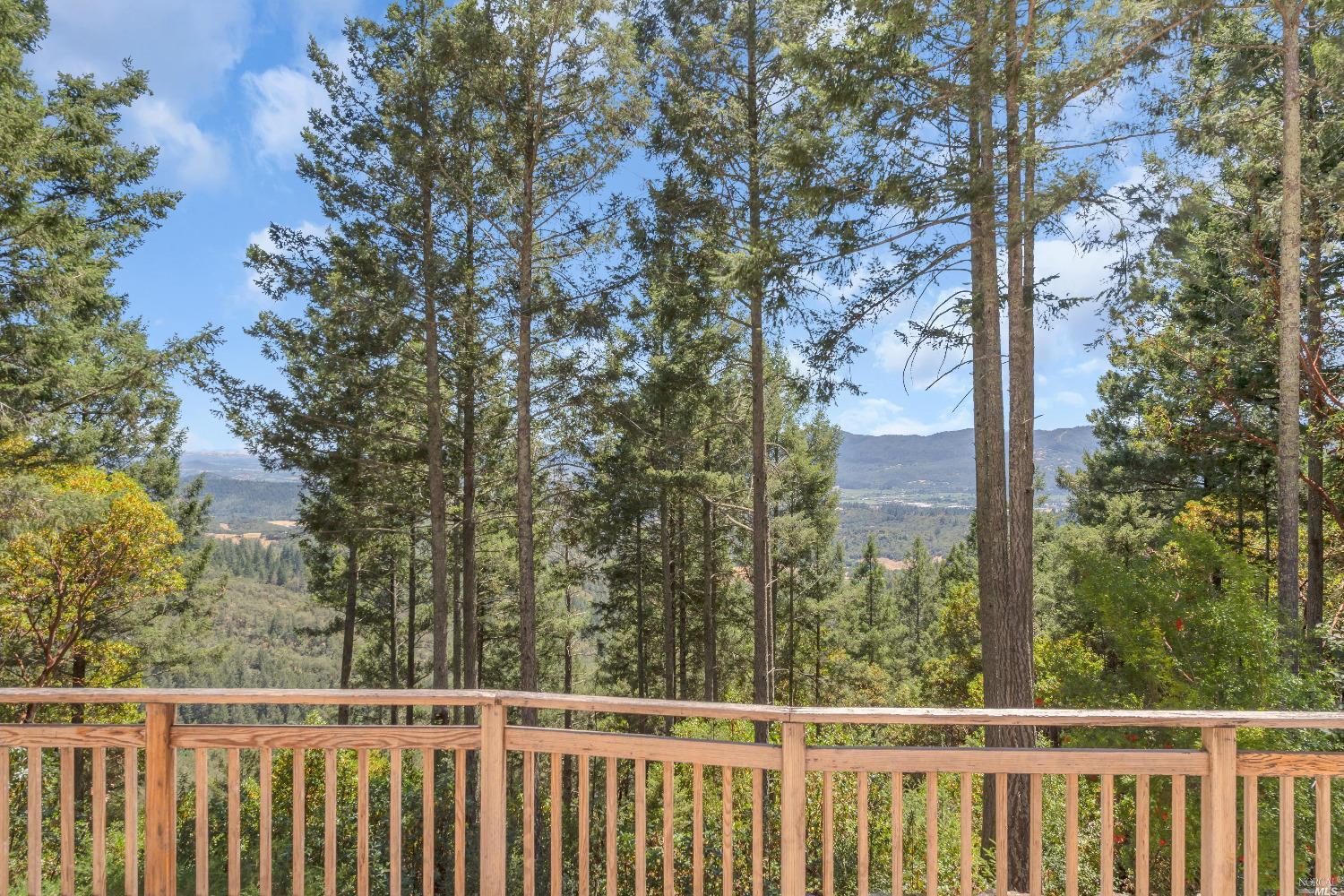 440 Cold Springs Road Angwin CA 94508