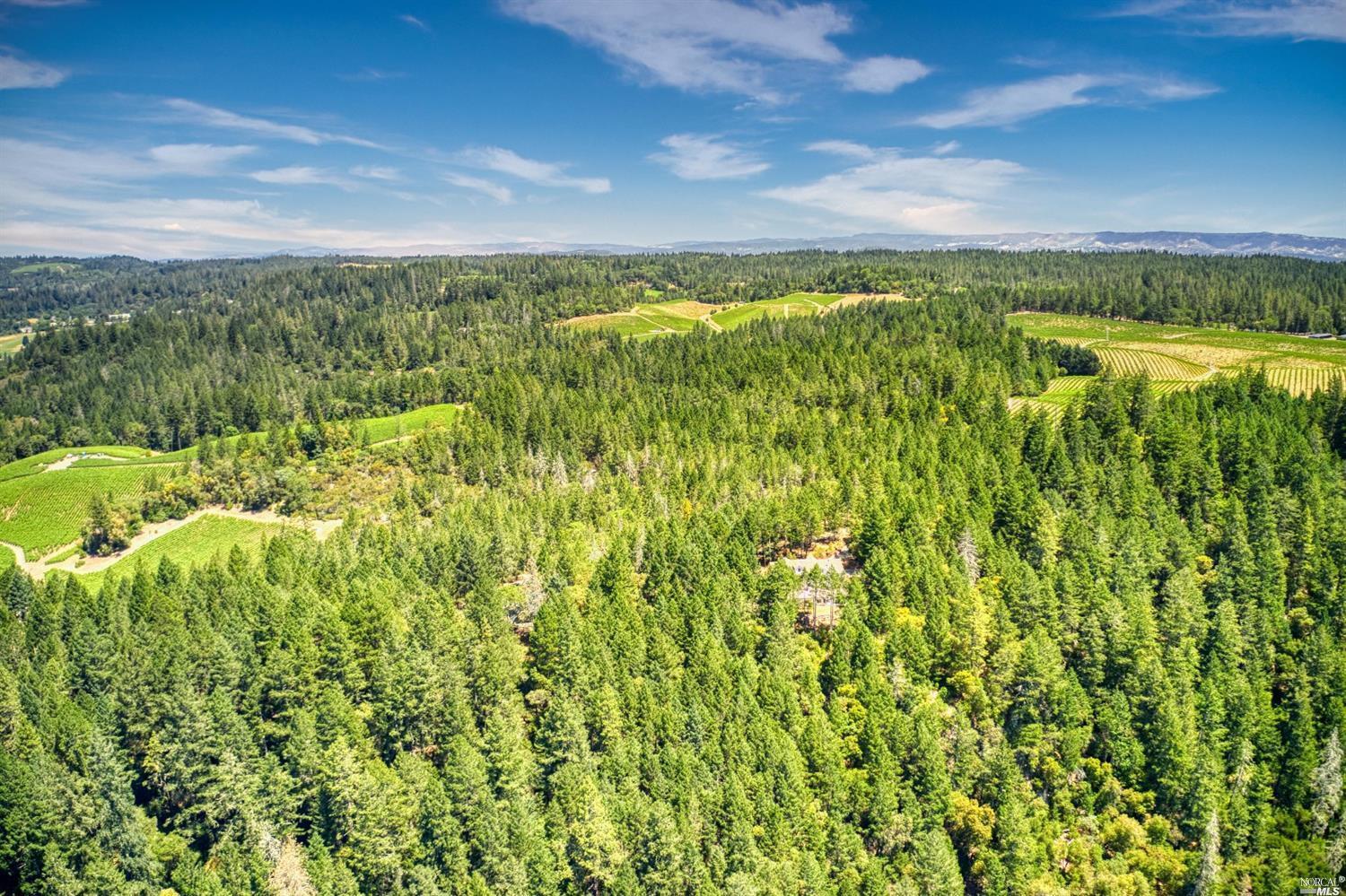 440 Cold Springs Road Angwin CA 94508