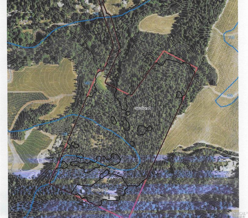 440 Cold Springs Road Angwin CA 94508
