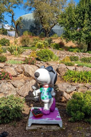 3729 Skyfarm Drive Santa Rosa CA 95403