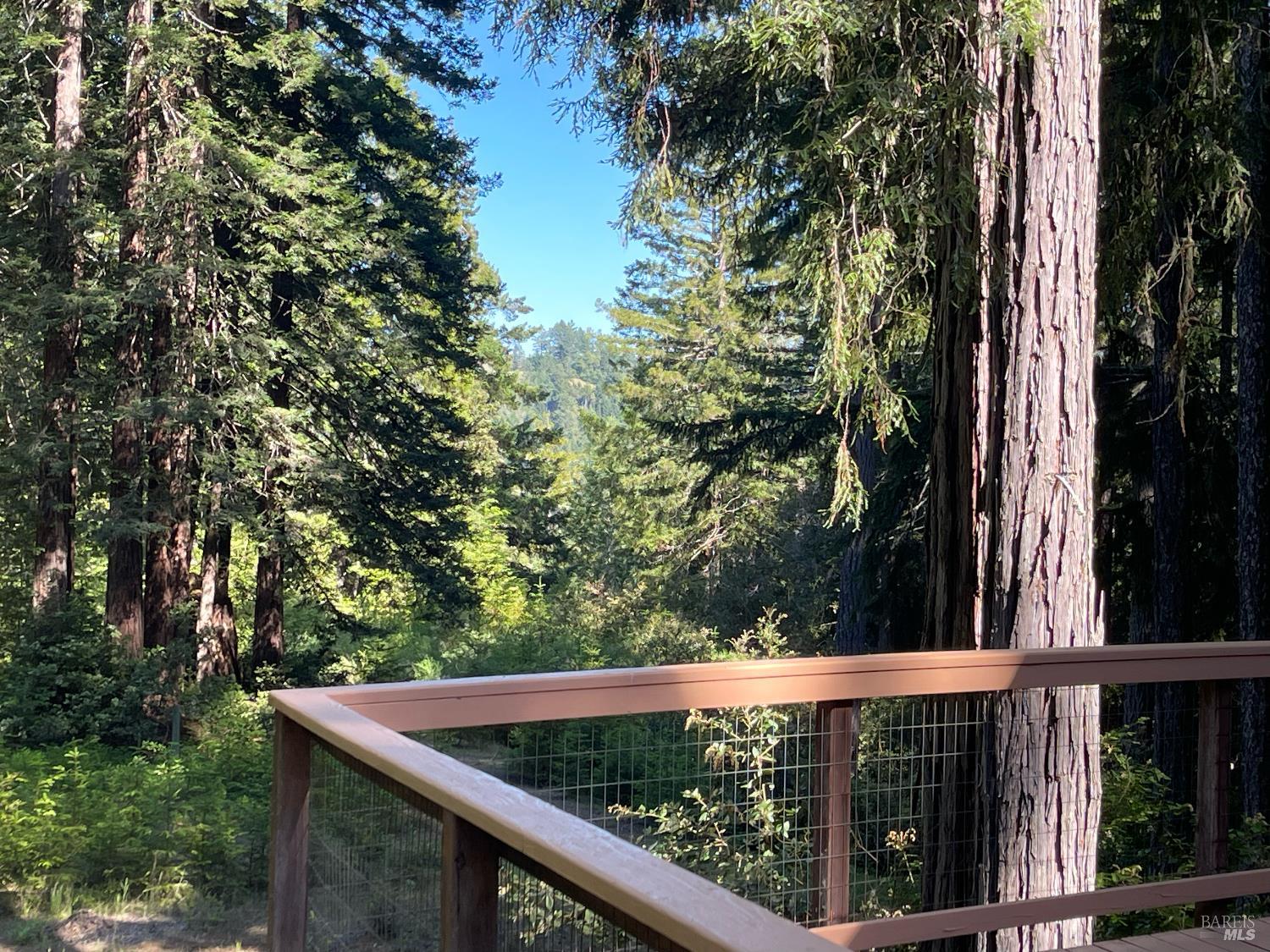 35905 Hauser Bridge Road Cazadero CA 95421