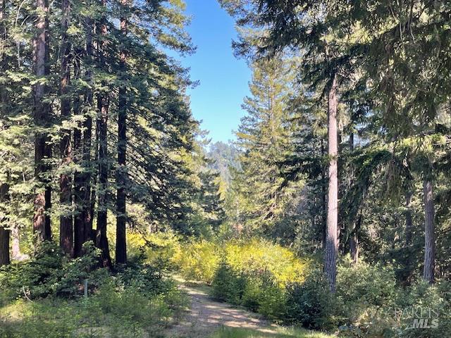 35905 Hauser Bridge Road Cazadero CA 95421