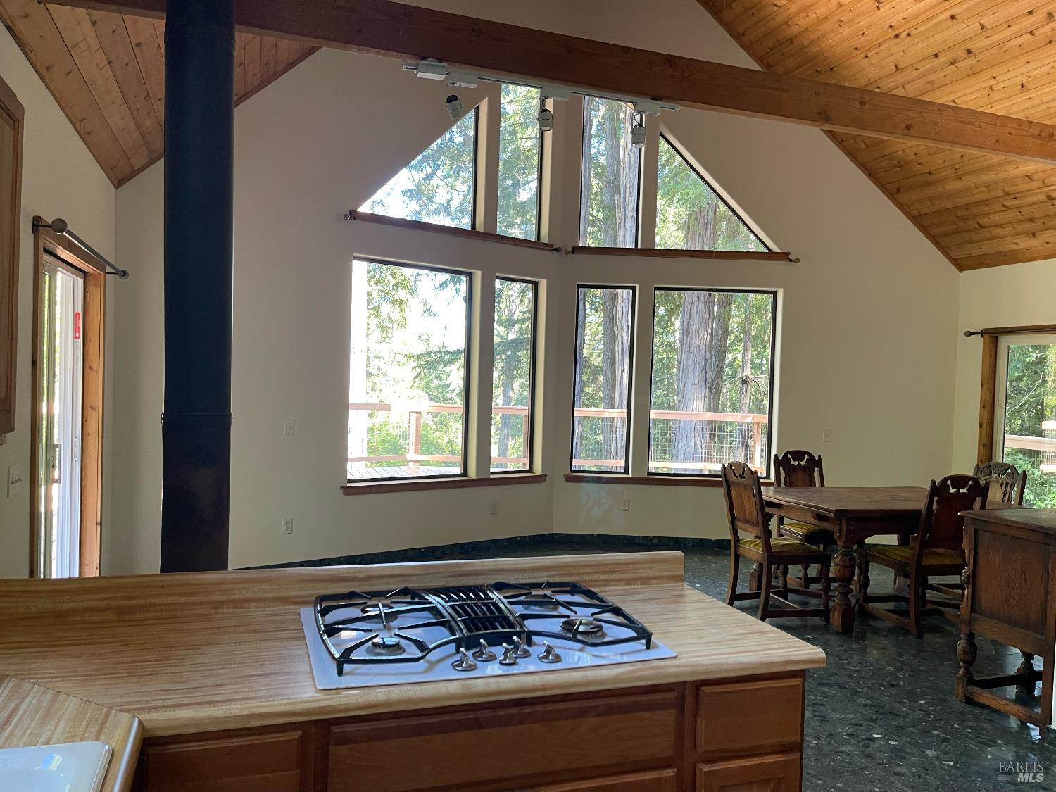 35905 Hauser Bridge Road Cazadero CA 95421