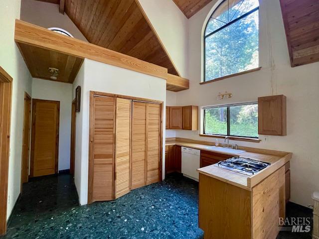 35905 Hauser Bridge Road Cazadero CA 95421