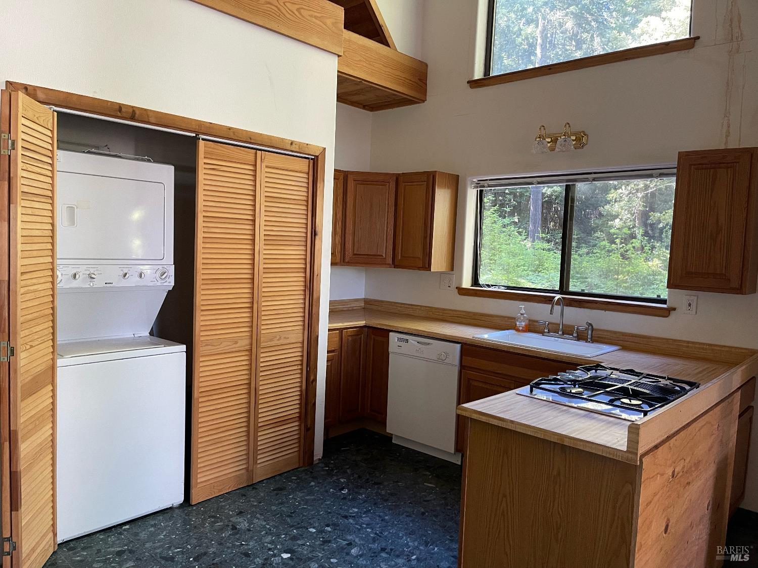 35905 Hauser Bridge Road Cazadero CA 95421
