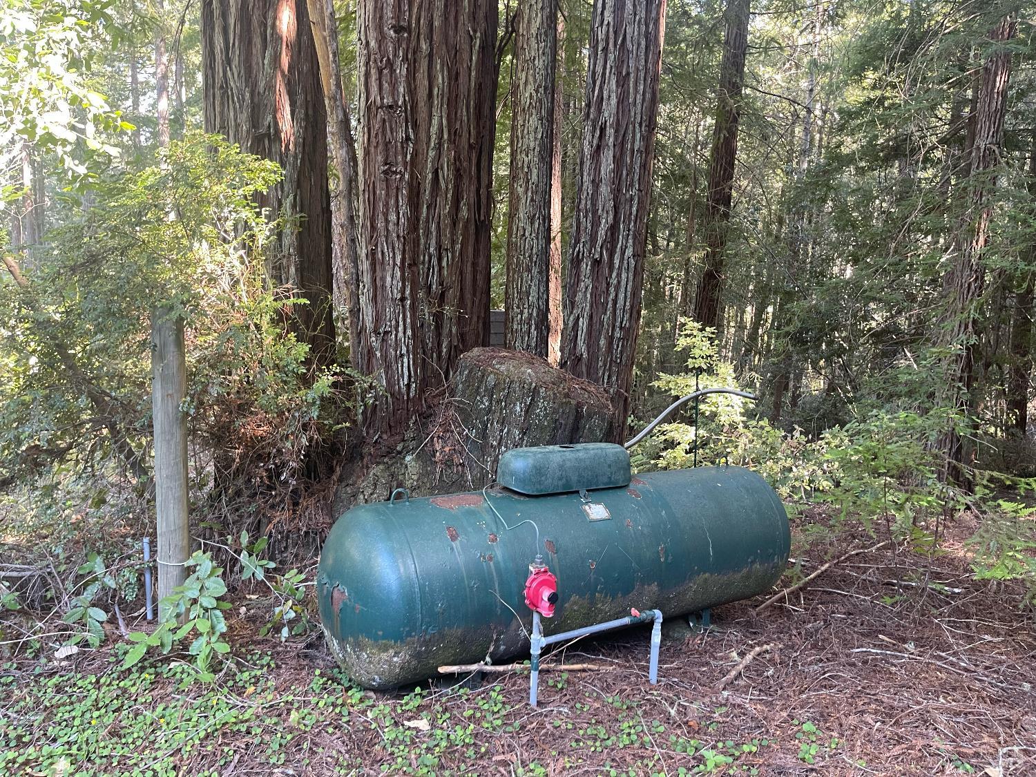 35905 Hauser Bridge Road Cazadero CA 95421
