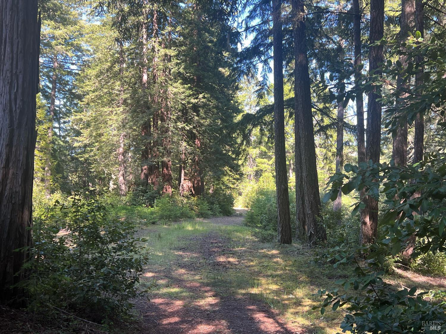 35905 Hauser Bridge Road Cazadero CA 95421