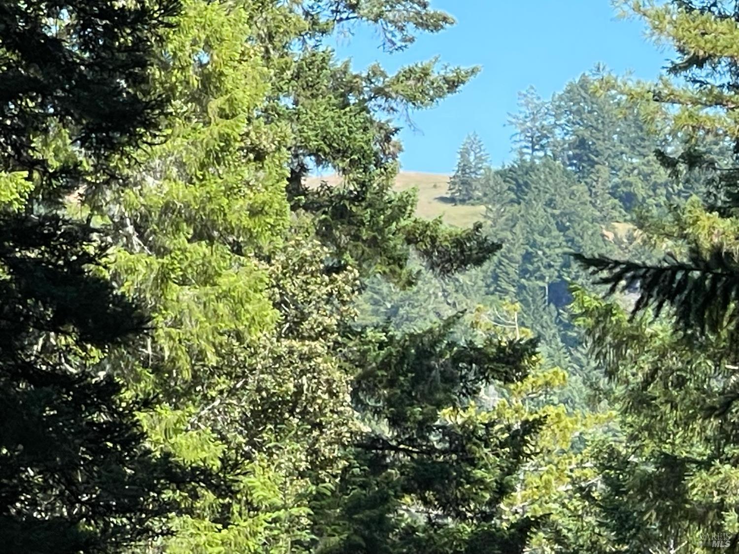 35905 Hauser Bridge Road Cazadero CA 95421