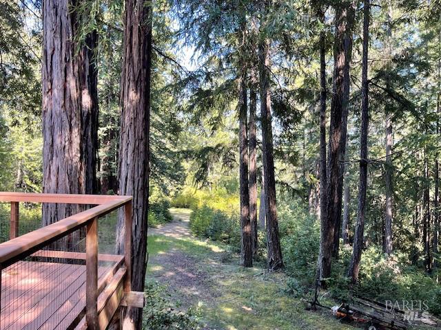 35905 Hauser Bridge Road Cazadero CA 95421