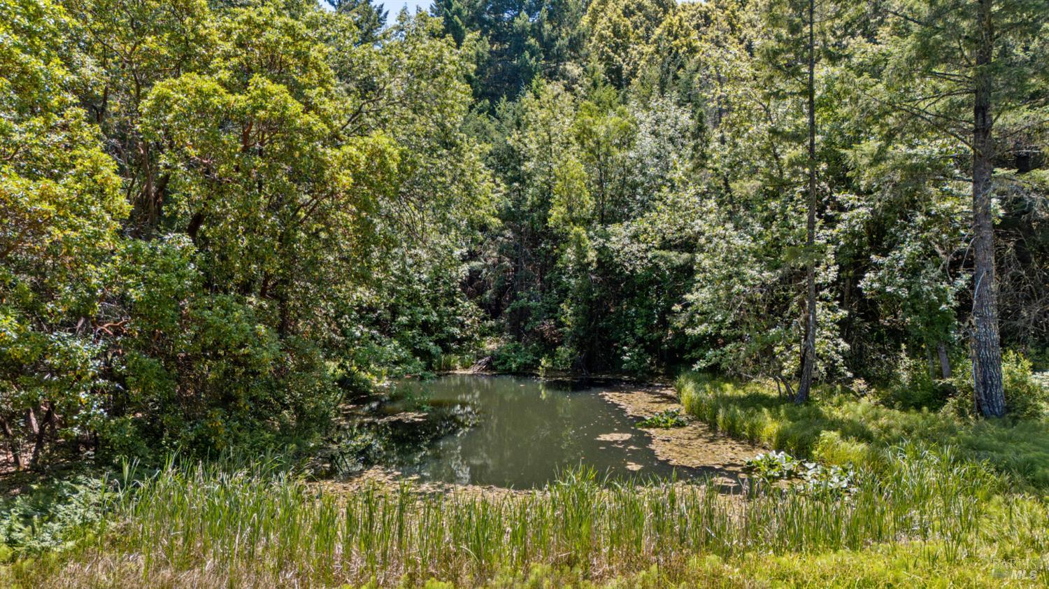 28855 Timberline Road Willits CA 95490