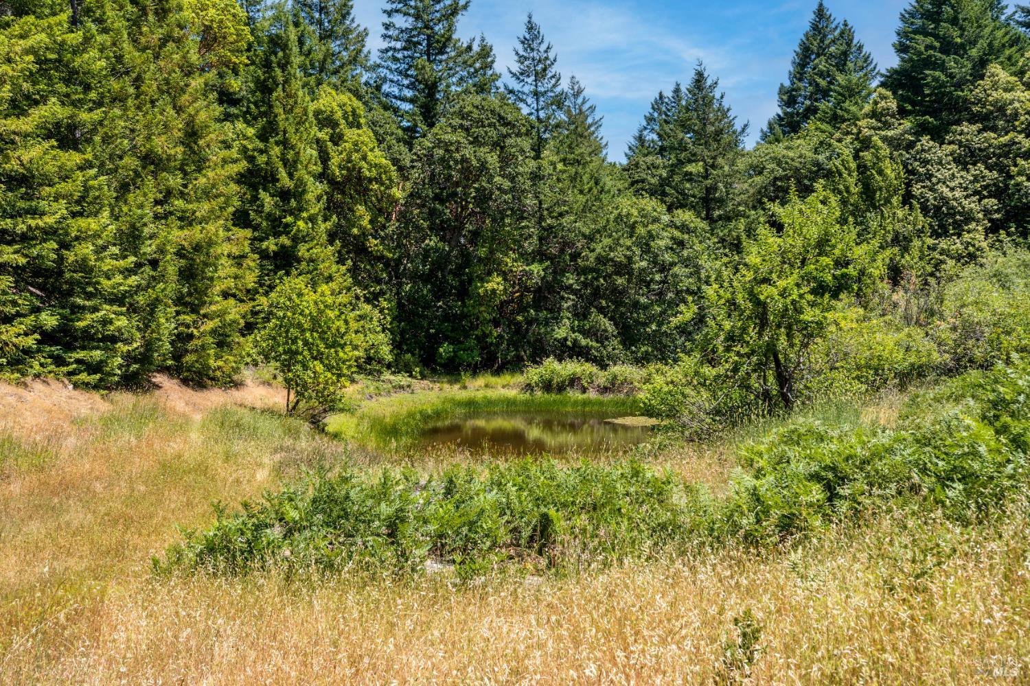 28855 Timberline Road Willits CA 95490