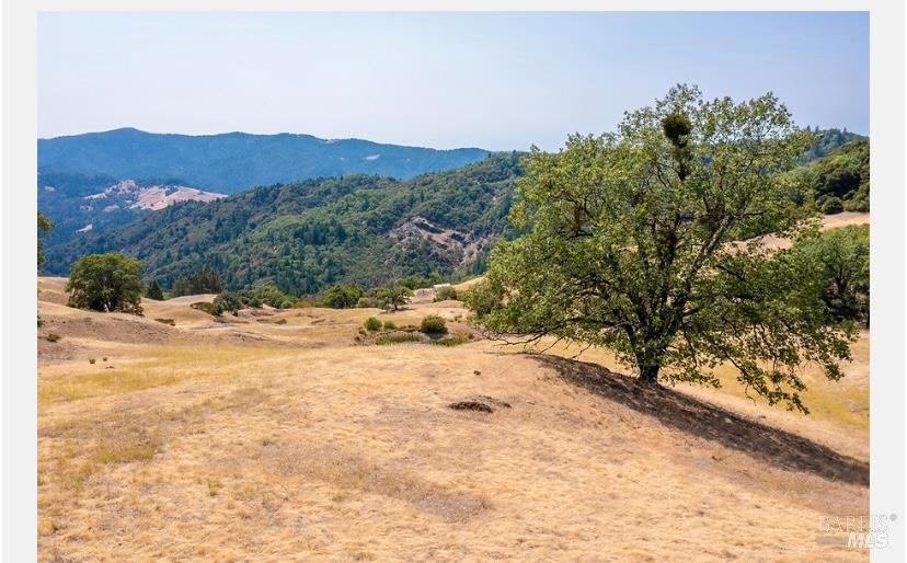 59665 Bell Springs Road Laytonville CA 95454