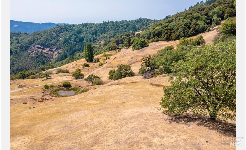 59665 Bell Springs Road Laytonville CA 95454