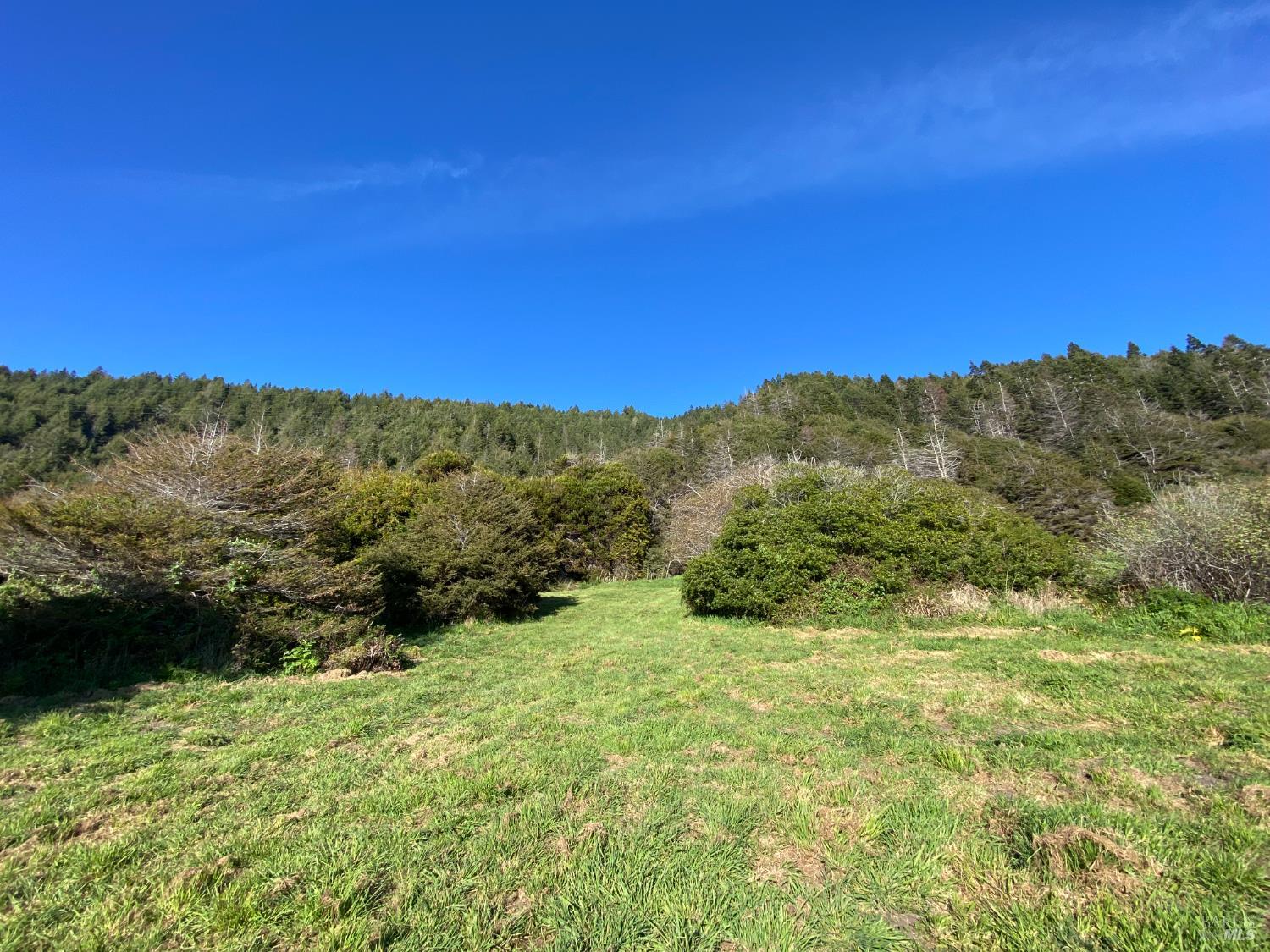 41301 Seascape Drive Westport CA 95488