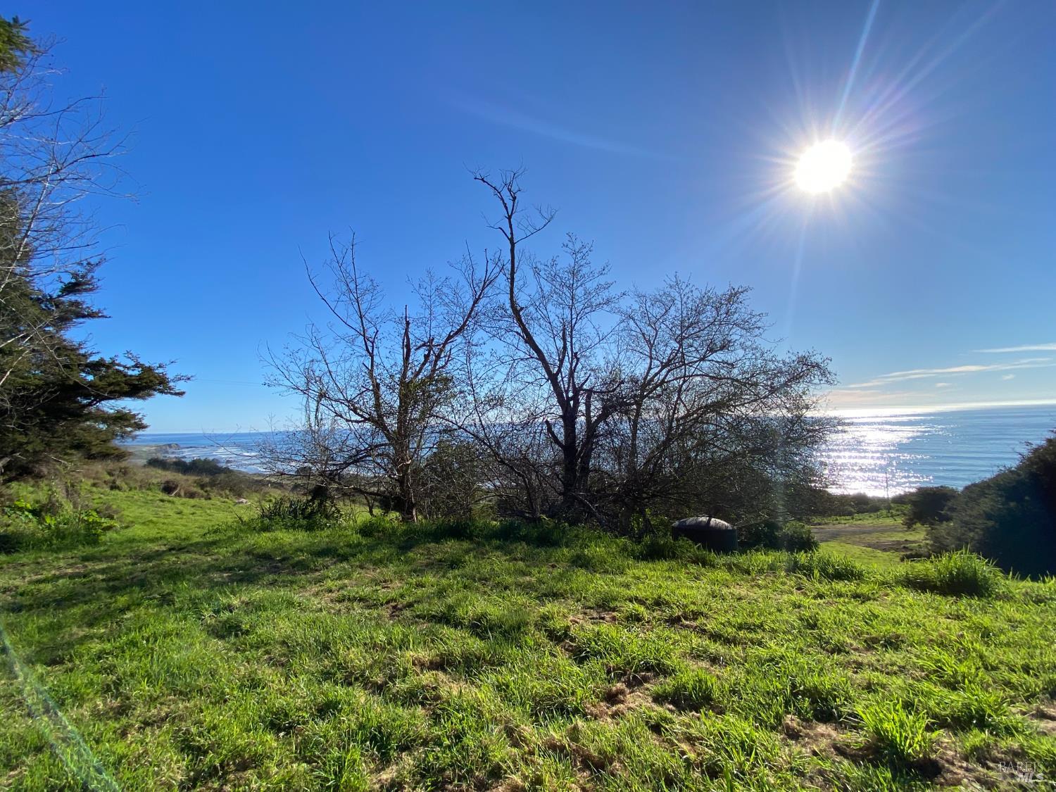 41301 Seascape Drive Westport CA 95488