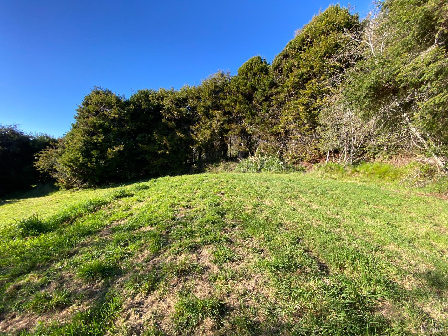 41301 Seascape Drive Westport CA 95488