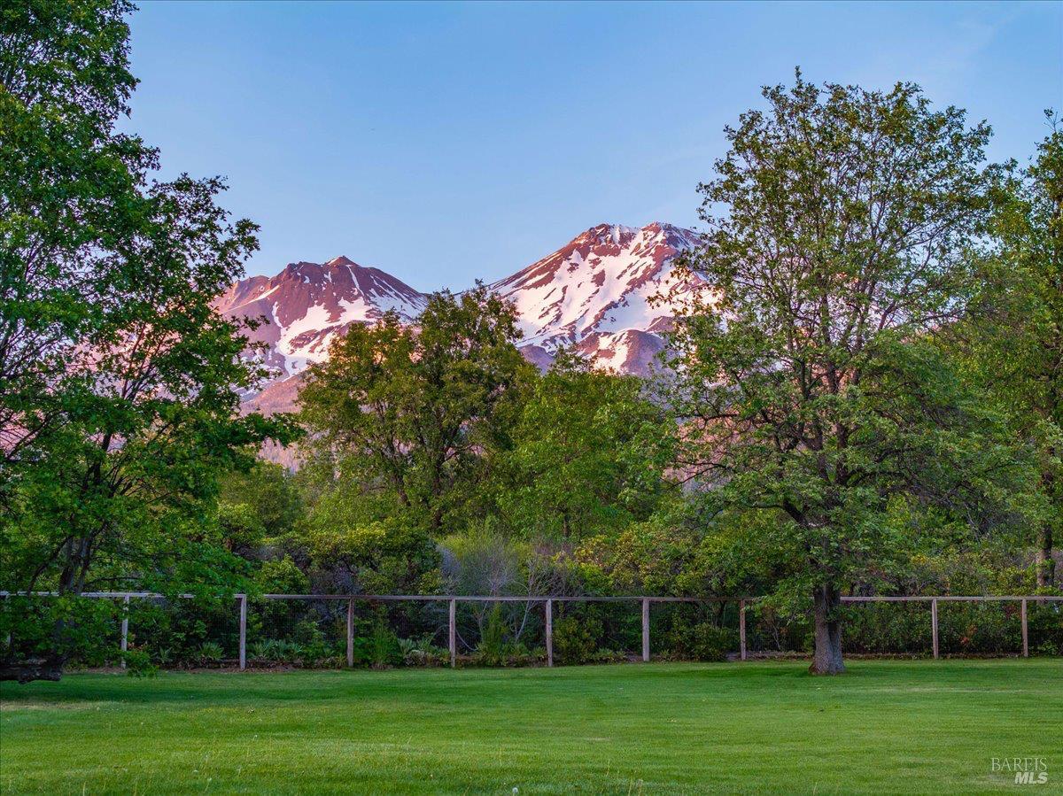 1395 Northridge Drive Mount Shasta CA 96067