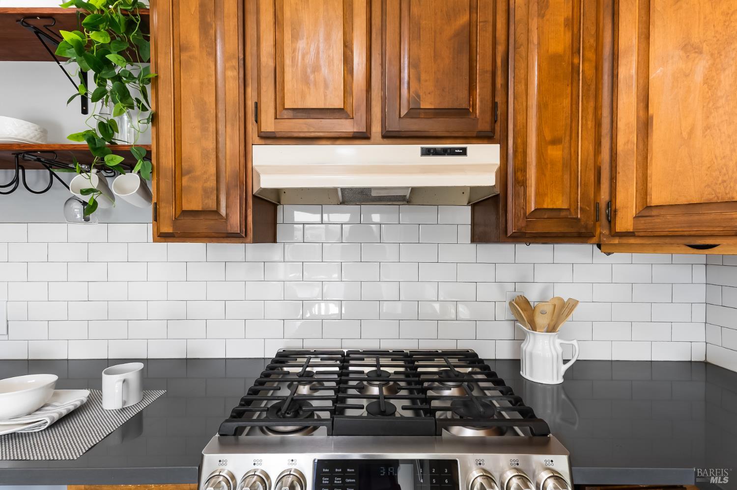 3654 Lolita Drive Concord CA 94519