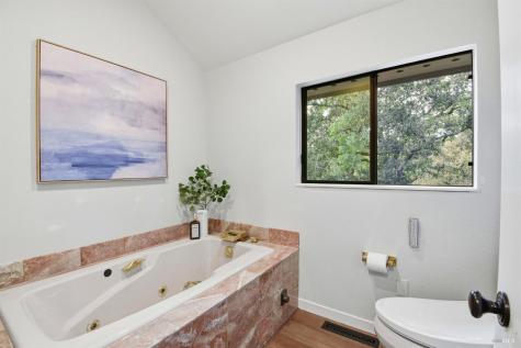 4730 Woodcliff Court Santa Rosa CA 95405