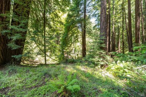 7001 Lucas Valley Road Nicasio CA 94946