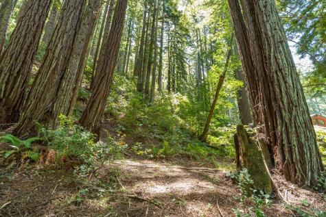 7001 Lucas Valley Road Nicasio CA 94946