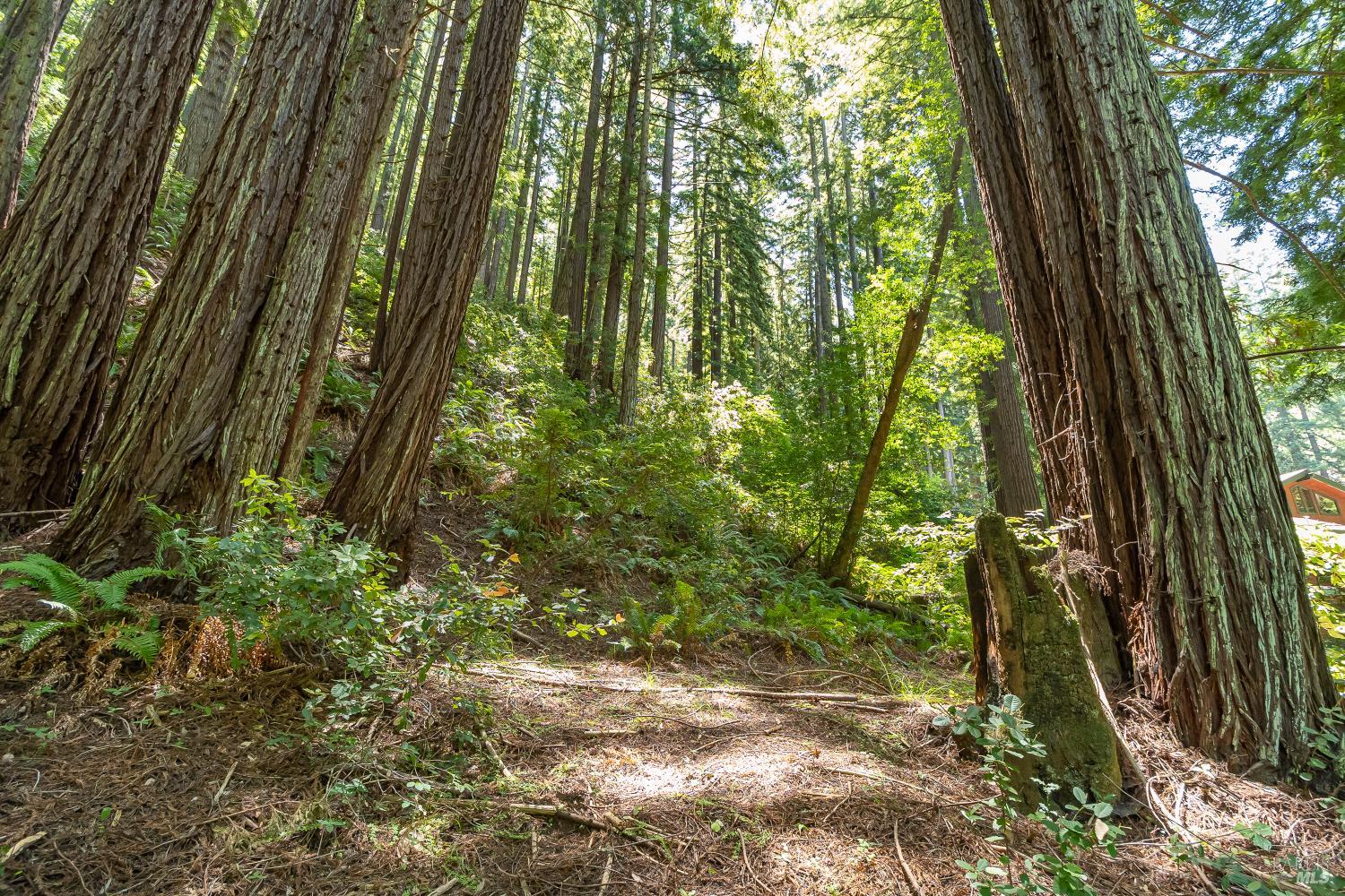 7001 Lucas Valley Road Nicasio CA 94946
