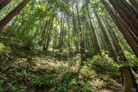 7001 Lucas Valley Road Nicasio CA 94946