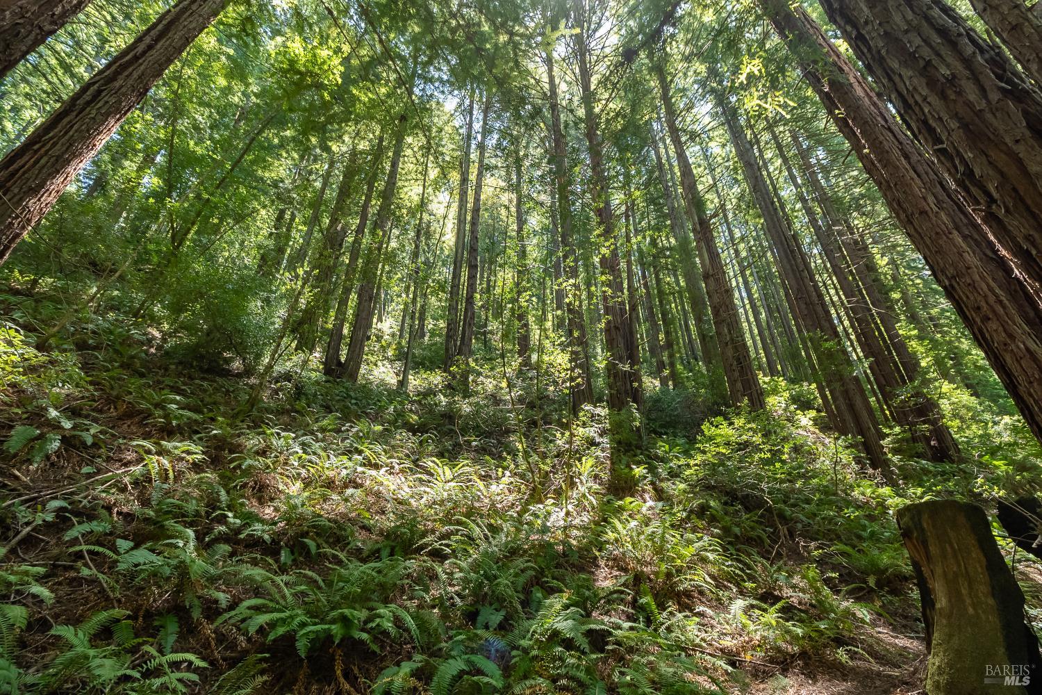 7001 Lucas Valley Road Nicasio CA 94946