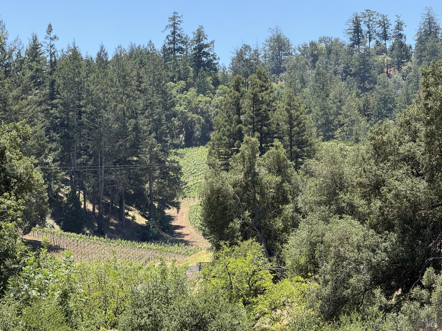 140 Petrified Forest Road Calistoga CA 94515
