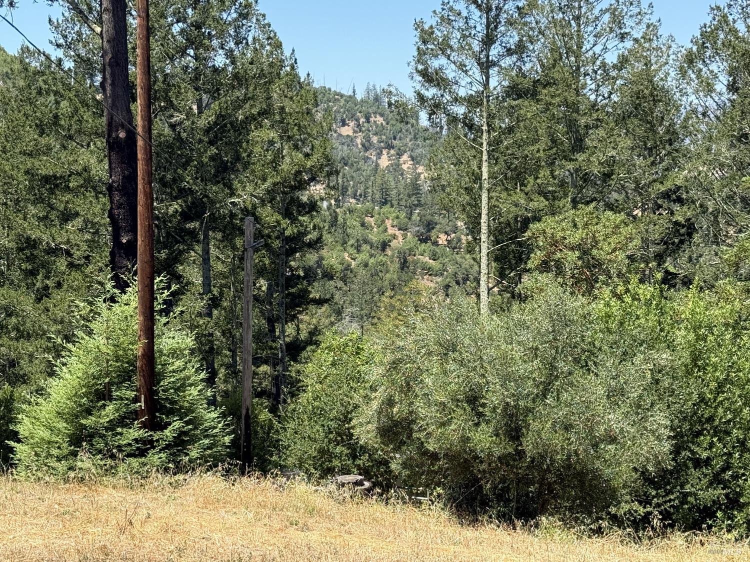 140 Petrified Forest Road Calistoga CA 94515