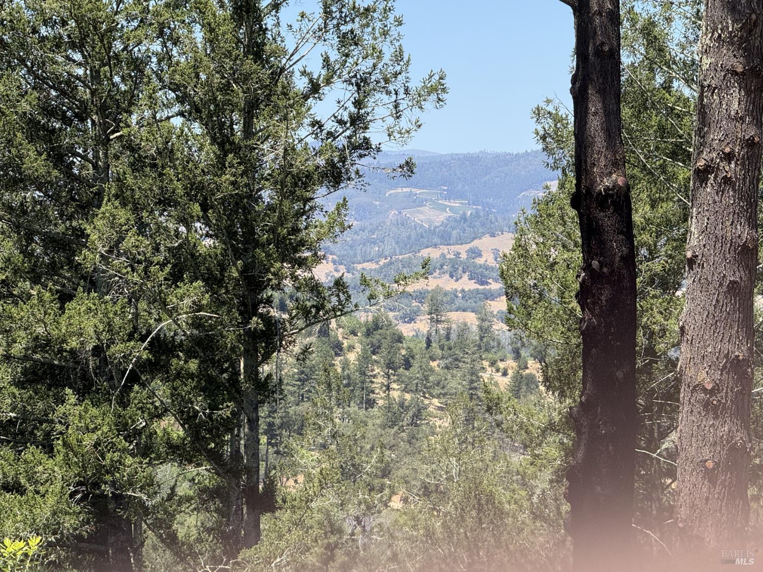 140 Petrified Forest Road Calistoga CA 94515