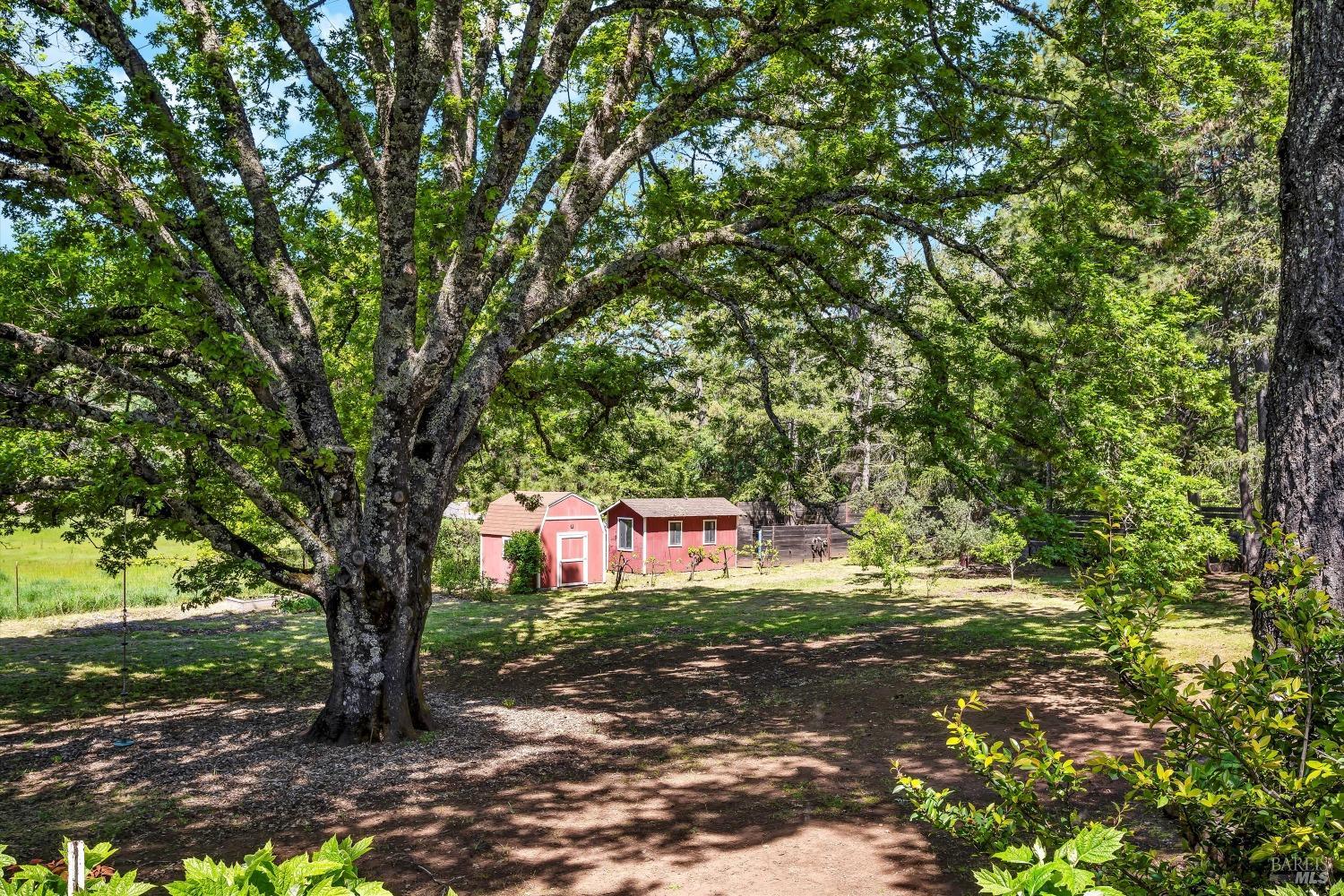 1065 Summit Lake Drive Angwin CA 94508