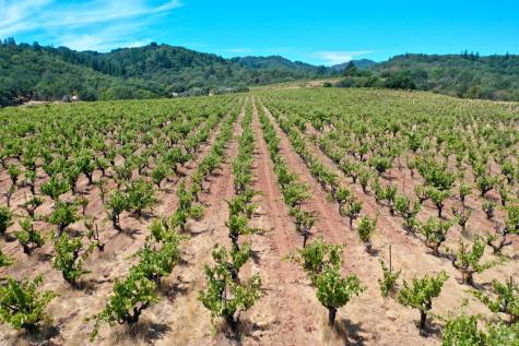 25845 Dutcher Creek Road Cloverdale CA 95425