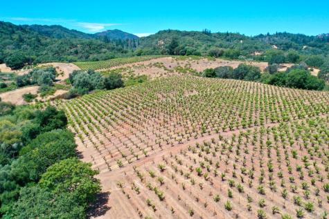 25845 Dutcher Creek Road Cloverdale CA 95425
