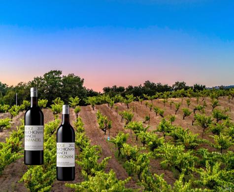 25845 Dutcher Creek Road Cloverdale CA 95425