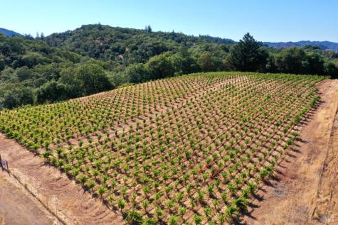 25845 Dutcher Creek Road Cloverdale CA 95425
