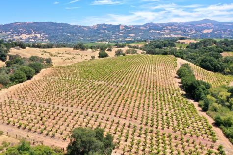 25845 Dutcher Creek Road Cloverdale CA 95425